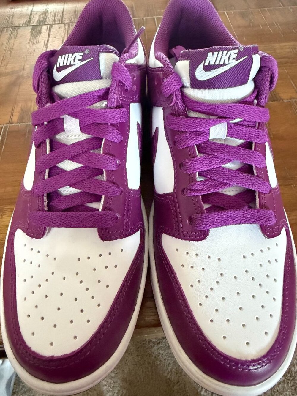 Nike Dunk Low Viotech (GS - Size 6Y)